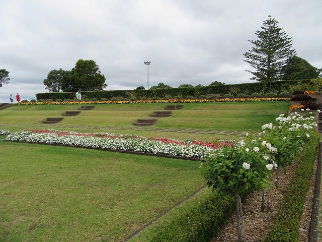 ニュージーランドツアー_e0072023_15271592.jpg
