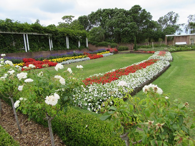 ニュージーランドツアー_e0072023_15273953.jpg