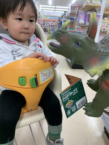 孫とトイザラス!!_d0180229_22022688.jpg