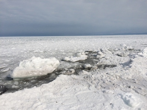 流氷接岸_e0405754_22211688.jpg