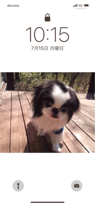 愛犬良太くんの在りし日の姿です。_a0398861_19461803.jpg