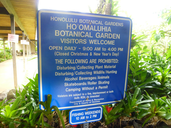 Ho`omaluhia Botanical Garden（ホオマルヒア植物園）＠ハワイでごはん2016冬_c0152767_12374332.jpg