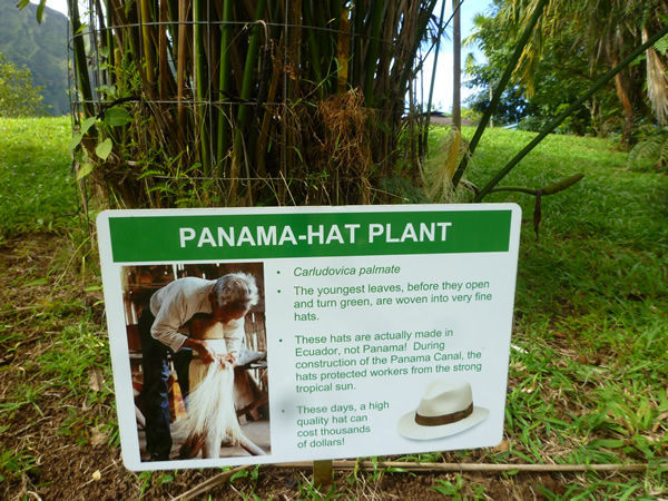 Ho`omaluhia Botanical Garden（ホオマルヒア植物園）＠ハワイでごはん2016冬_c0152767_12392309.jpg