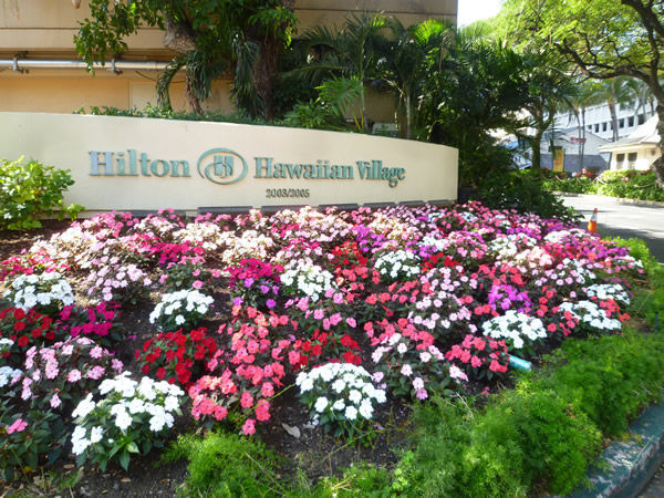 HAWAII FIVE-O巡礼・HAWAII FIVE-Oグッズショップ@ハワイでごはん2016冬_c0152767_14441355.jpg