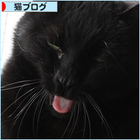 猫の変顔_a0389088_17441727.jpg