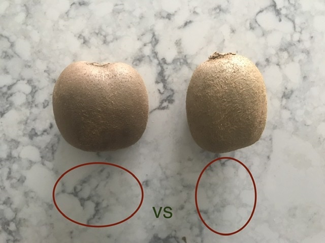 トントンしようキウイフルーツ🥝_b0365715_01002746.jpeg