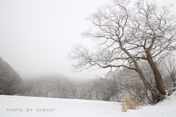 雪の曲沢沼_c0229025_03521100.jpg