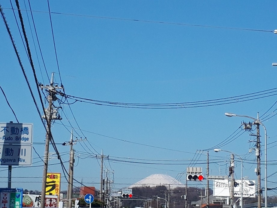 春の伊豆へその1_c0226331_16484874.jpg