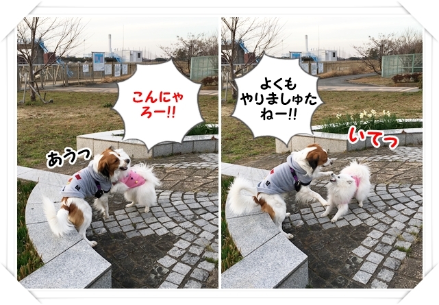 天使と馬。_d0013149_23565512.jpg