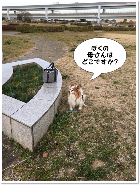 天使と馬。_d0013149_23570172.jpg