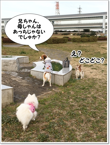 天使と馬。_d0013149_23570922.jpg