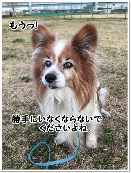 天使と馬。_d0013149_23572151.jpg