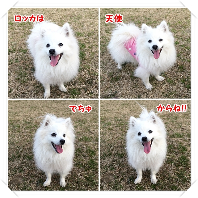 天使と馬。_d0013149_23572725.jpg