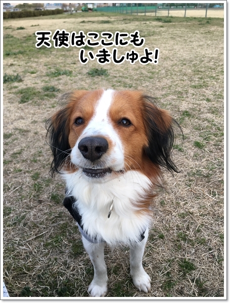 天使と馬。_d0013149_23573532.jpg