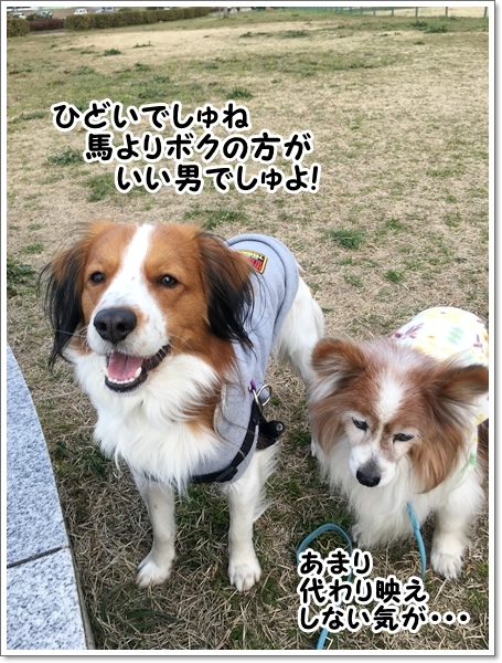 天使と馬。_d0013149_23574950.jpg