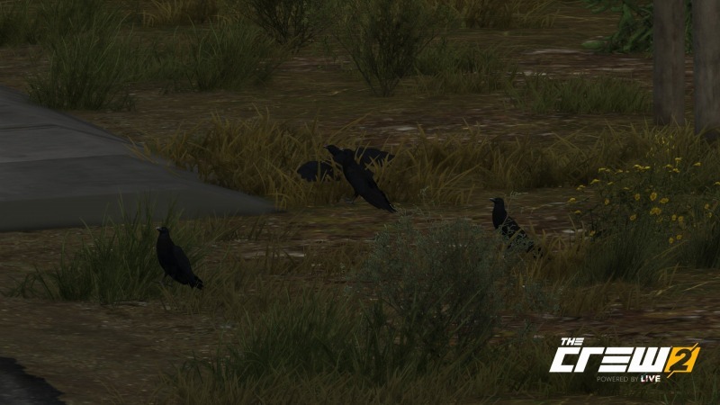 ゲーム「THE CREW2 ICONレベル5000になりました」_b0362459_21220636.jpg