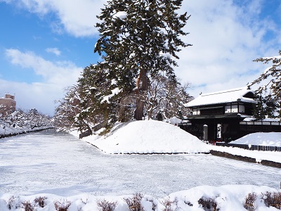 弘前城雪燈籠まつり_2020.02.11_d0131668_14272178.jpg