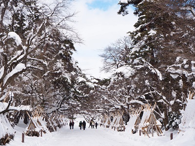弘前城雪燈籠まつり_2020.02.11_d0131668_14273867.jpg