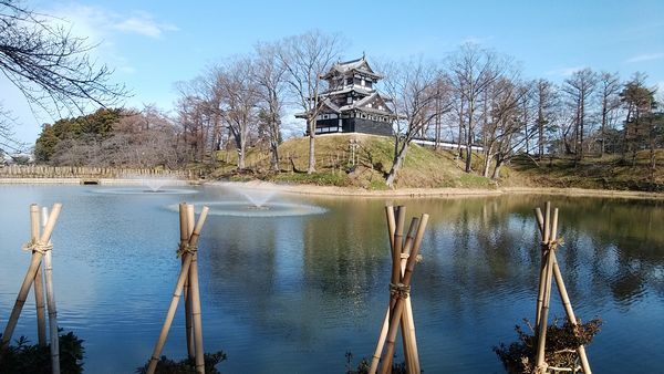 2/13   今日も快晴、高田公園は４月から「高田城址公園」に名前を変更_b0161371_12054245.jpg