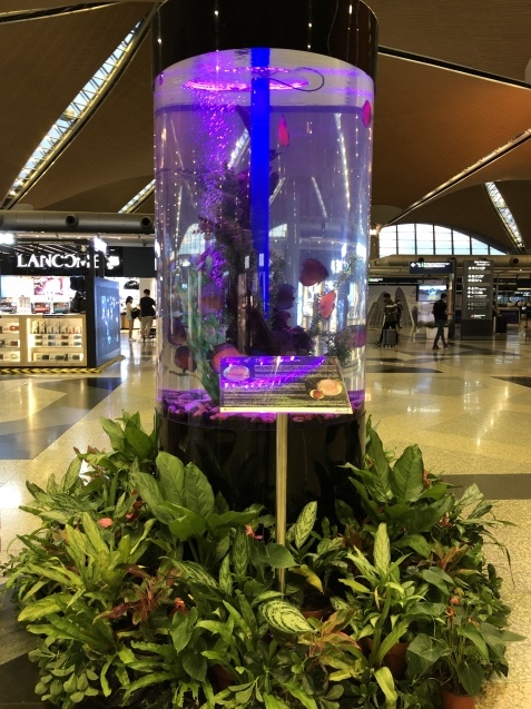 ７日目その② 〜  リフレッシュ休暇_a0394574_22304426.jpeg