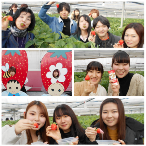 研修ツアーのご報告_d0073476_13315998.png