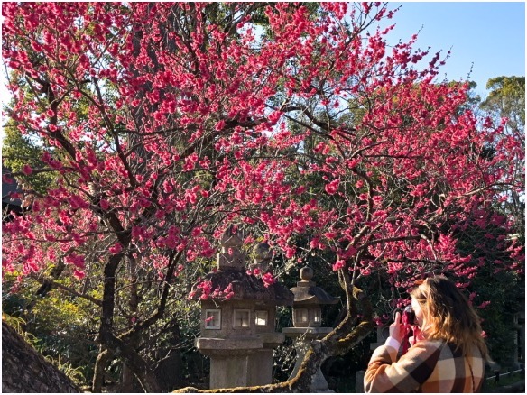 < 北野天満宮 ① >_c0036080_11390705.jpg