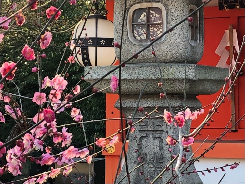 < 北野天満宮 ① >_c0036080_11395763.jpg