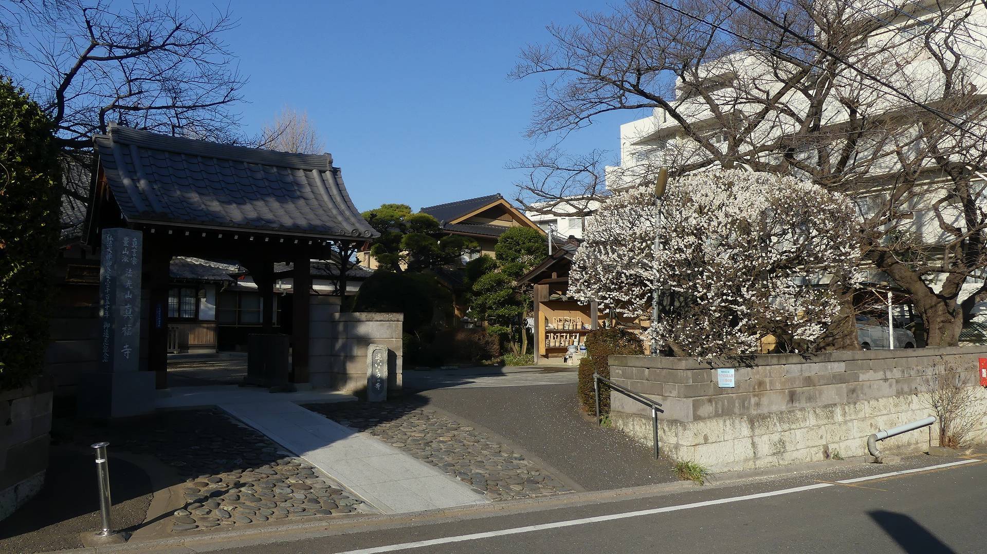 飛行テスト最終日 【 2020 2/12(水) 】_a0185081_22412434.jpg