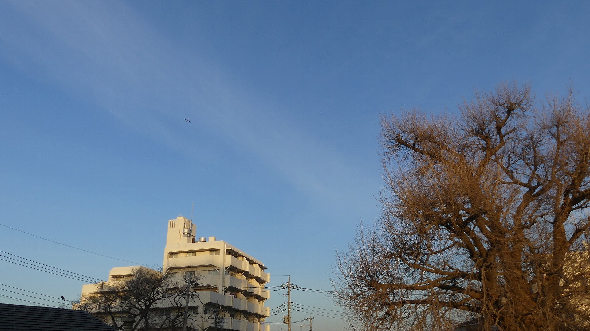飛行テスト最終日 【 2020 2/12(水) 】_a0185081_23125243.jpg