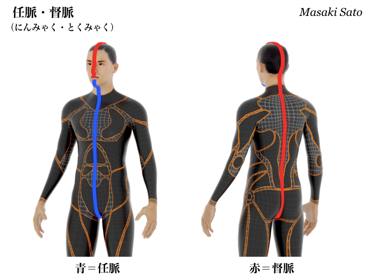 気と意識のトレーニング_17 伝統式スワイショウ_f0074992_16442358.png