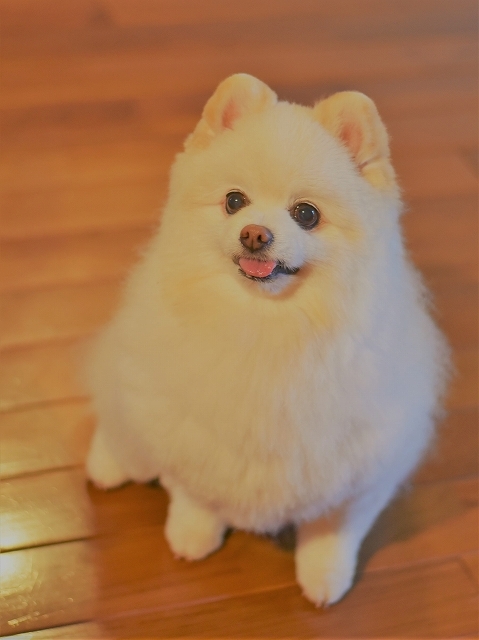 この時期にまさかの……_d0360206_00345478.jpg