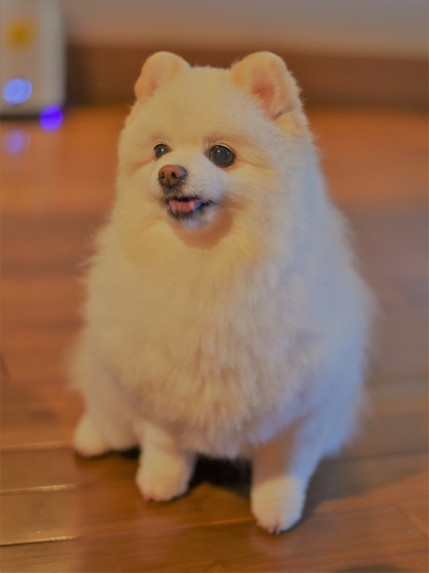 この時期にまさかの……_d0360206_00345925.jpg