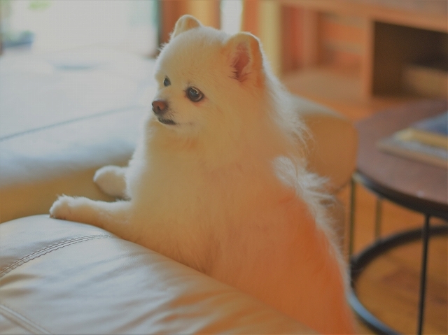 この時期にまさかの……_d0360206_00350385.jpg