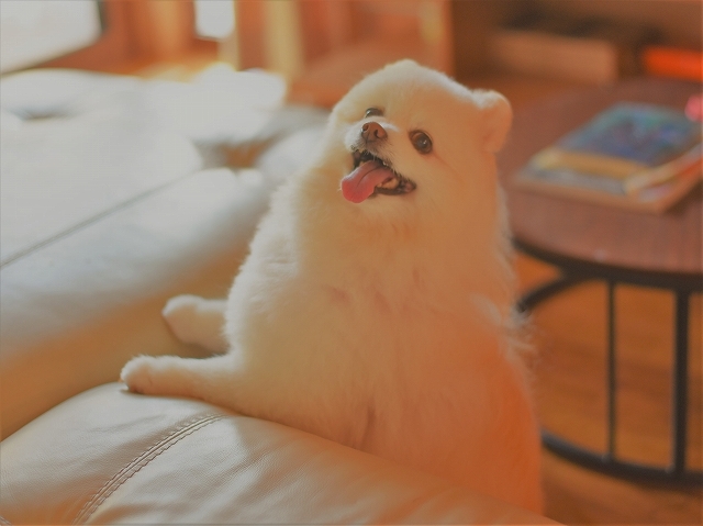 この時期にまさかの……_d0360206_00350694.jpg