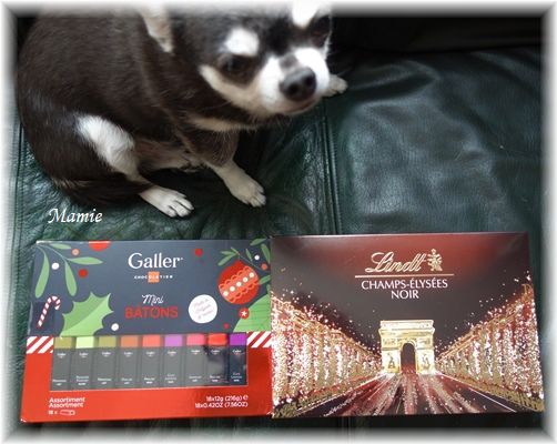 Belgian chocolate _d0387712_13231515.jpg