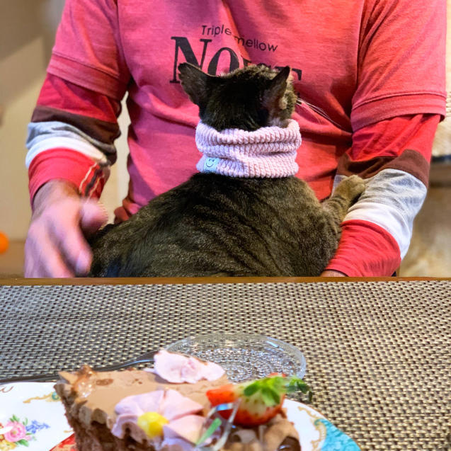 ハッピーバレンタイン!_d0355333_23360275.jpg