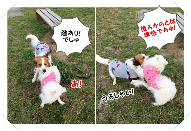 天使と馬。_d0013149_00023977.jpg