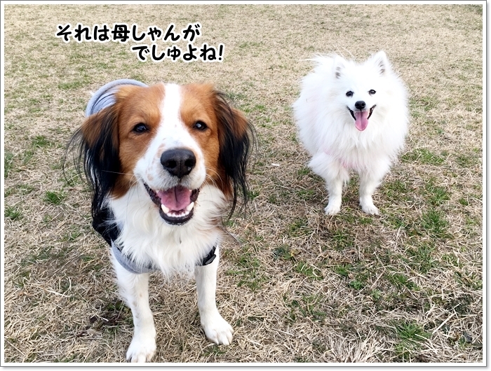天使と馬。_d0013149_00211835.jpg