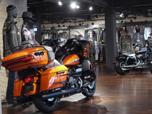 2020年式【XL1200NS】が入荷しました_b0317459_14575483.jpg