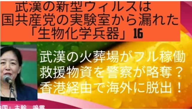 鳴霞さんが語る新型肺炎 武漢肺炎 の現状 あけっぴろげてあらいざらいのあるがまま 鳴霞さんが語る新型肺炎 武漢肺炎 の現状 あけっぴろげてあらいざらいのあるがまま