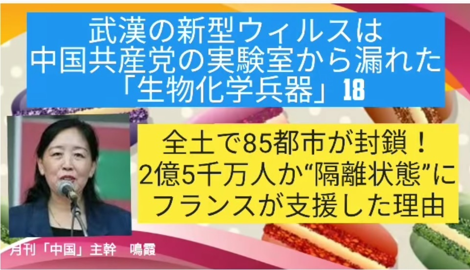 鳴霞さんが語る新型肺炎 武漢肺炎 の現状 あけっぴろげてあらいざらいのあるがまま 鳴霞さんが語る新型肺炎 武漢肺炎 の現状 あけっぴろげてあらいざらいのあるがまま