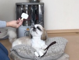 トレーニングブログ_f0357682_15115522.jpeg