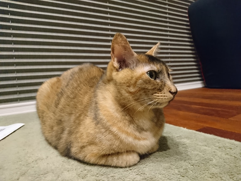 偶然にも_f0197985_22381626.jpg