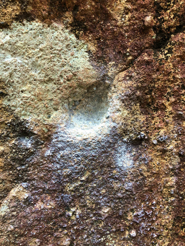 スティングレーボルダー -Stingray Boulder-_b0220886_18200381.jpg