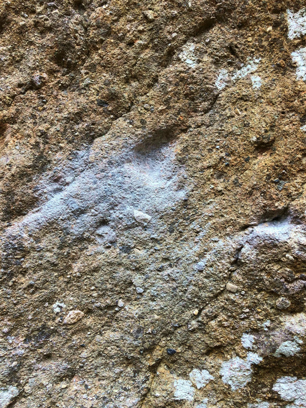 スティングレーボルダー -Stingray Boulder-_b0220886_18200394.jpg