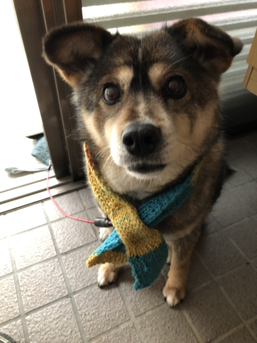 お問い合わせのご回答(^^)_d0132688_18540257.jpg