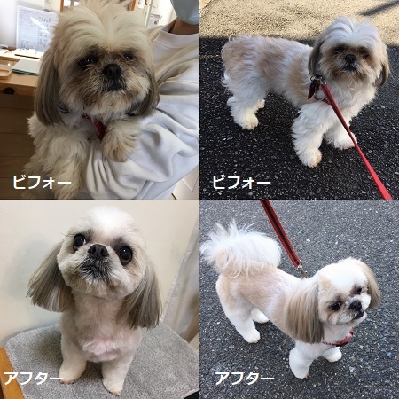 くまはちすぺさるw_f0372998_22545899.jpg