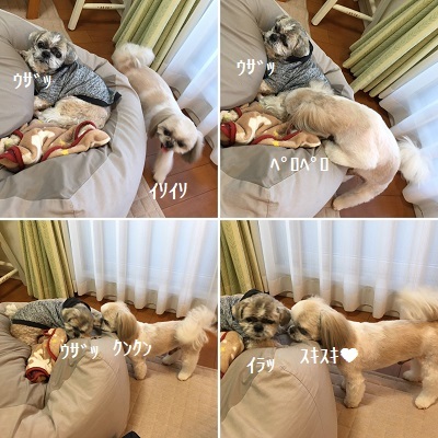 くまはちすぺさるw_f0372998_22551090.jpg