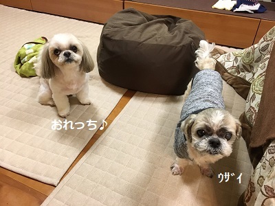 くまはちすぺさるw_f0372998_22553277.jpg