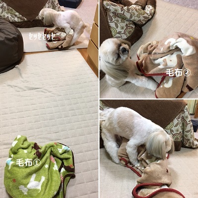 くまはちすぺさるw_f0372998_22555196.jpg